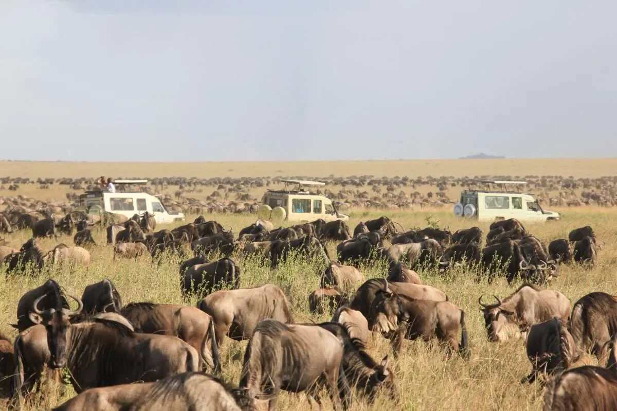 Best Time to Visit the Masai Mara