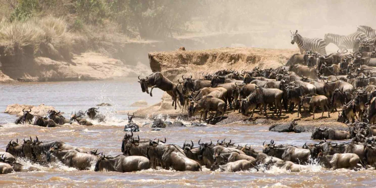 Maasai Mara