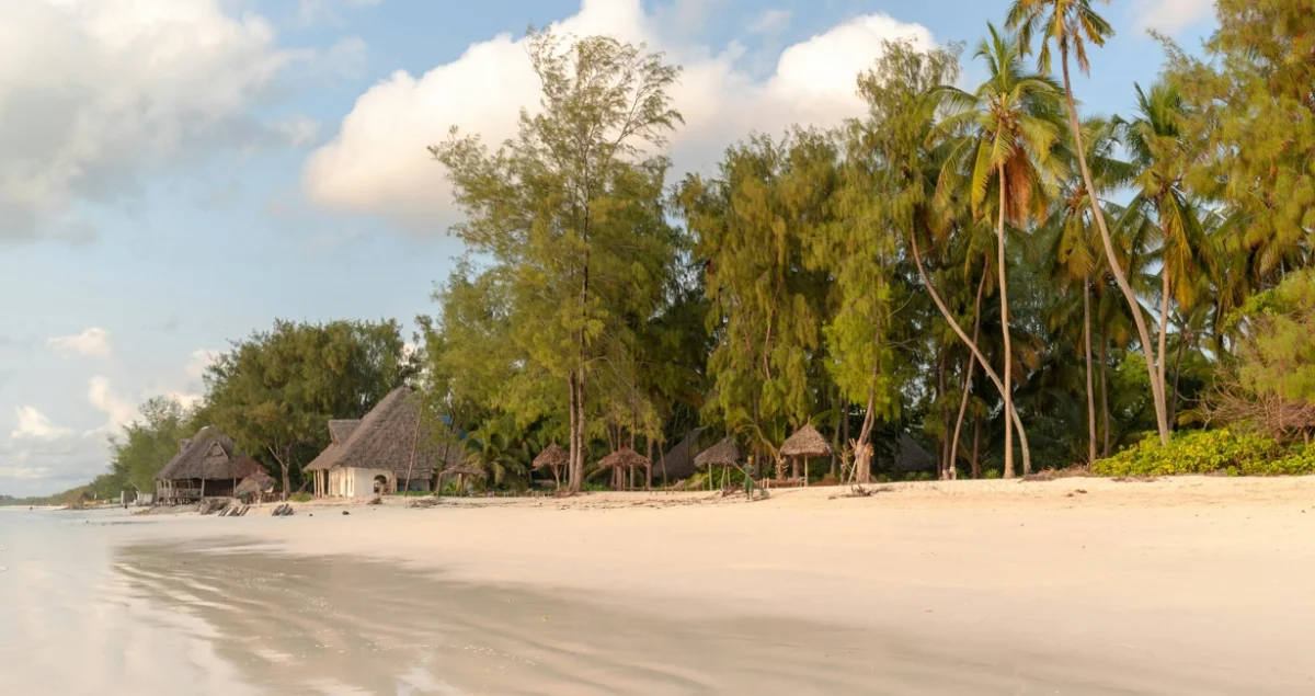 Kwale Coast - Diani