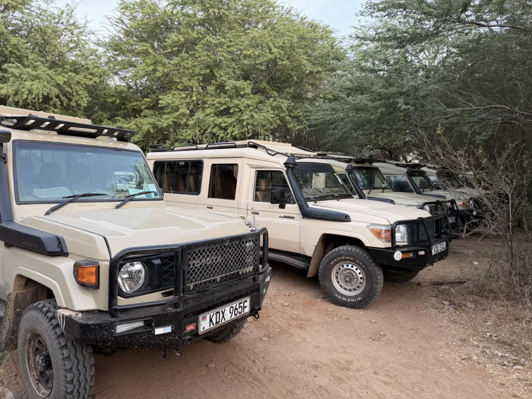 4-Day Maasai Mara Big Five Safari