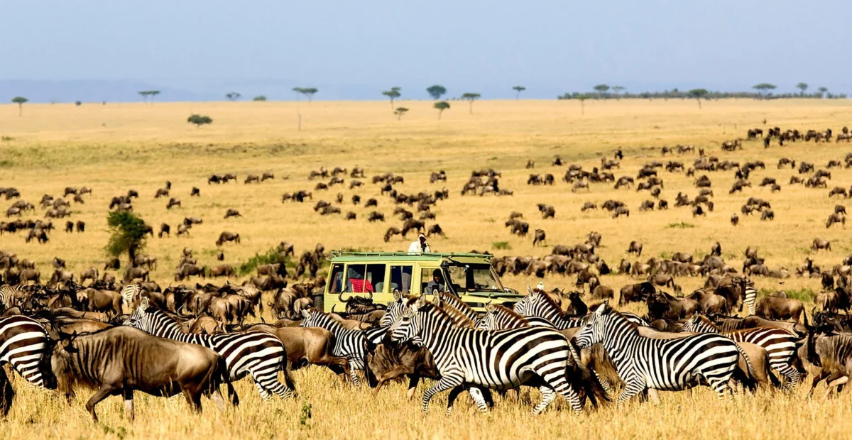 8-Day Great Migration Safari Special