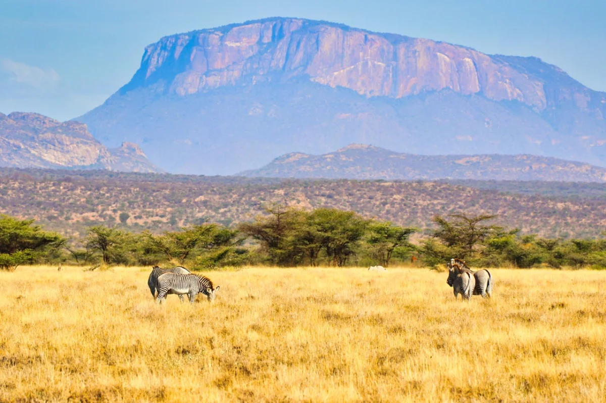 4-Day Samburu Safari — Northern Kenya